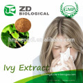 Ivy Extract in cough medicine for kids